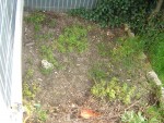 Le petit carré où je compte planter des radis, salades, courgettes et tomates