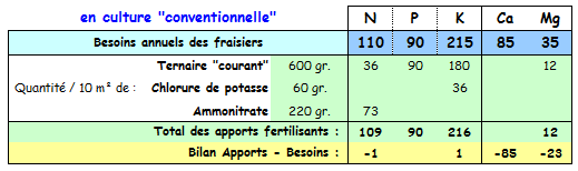 Fraisiers - Minéraux sans compost en classique.PNG