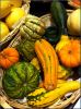Filename=GPR~5.jpg
Filesize=566KB
Dimensions=1529x2048
Date added=Oct 21, 2014 GPR~5.jpg