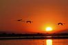 Filename=coucher-soleil-camargue.jpg
Filesize=38KB
Dimensions=721x482
Date added=Nov 23, 2008 coucher-soleil-camargue.jpg