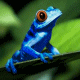 Avatar de l’utilisateur