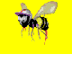 Avatar de l’utilisateur