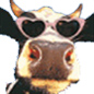 Avatar de l’utilisateur