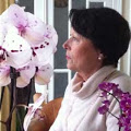 Avatar de l’utilisateur