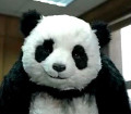 Avatar de l’utilisateur