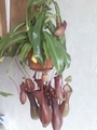 Avatar de l’utilisateur