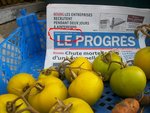 Photode  bagé 136.jpg
