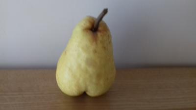 poire.jpg