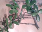 20160918_124259.jpg