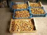 DSCN7242.JPG
