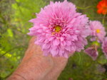DSCN7246.JPG