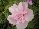 DSCN7248.JPG