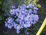 DSCN7255.JPG