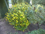 DSCN7254.JPG