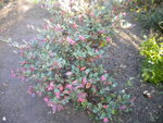 DSCN7256.JPG