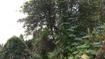 20160927_181442_modifié-1.jpg