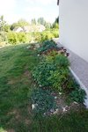 DSC09276.JPG