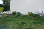DSC09277.JPG