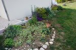 DSC09278.JPG