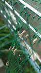 P_20160930_090629_1.jpg