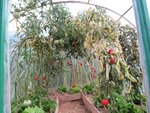 IMG_2041.JPG