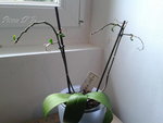 Image00019.jpg