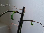Image00020.jpg