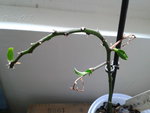 Image00021.jpg