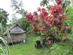 img_0202.jpg
