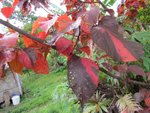 img_0203.jpg