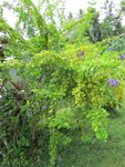 img_0225.jpg