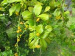 img_0227.jpg