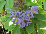 img_0482.jpg