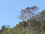 img_0503.jpg