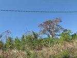 img_0505.jpg