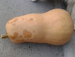 20161004_175054.jpg