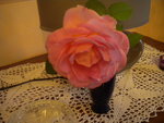 DSCN7260.JPG