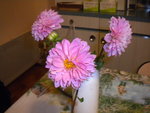 DSCN7269.JPG