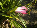 DSCN7267.JPG