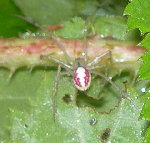 DSCN0843.JPG