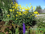 BILD0931.JPG