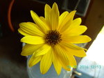 BILD0938.JPG