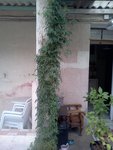 IMG067.jpg