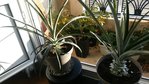 rps20161007_084237.jpg