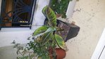 rps20161007_084115.jpg