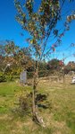 P_20161003_144153.jpg