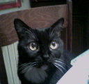 Tu me manques ma Capu'...Love forever