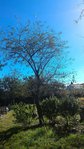 P_20161003_145117.jpg