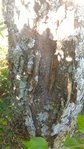 P_20161003_143903.jpg