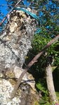 P_20161003_143809.jpg